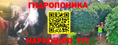 прущая мука Будённовск
