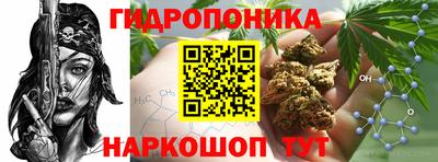 прущая мука Будённовск