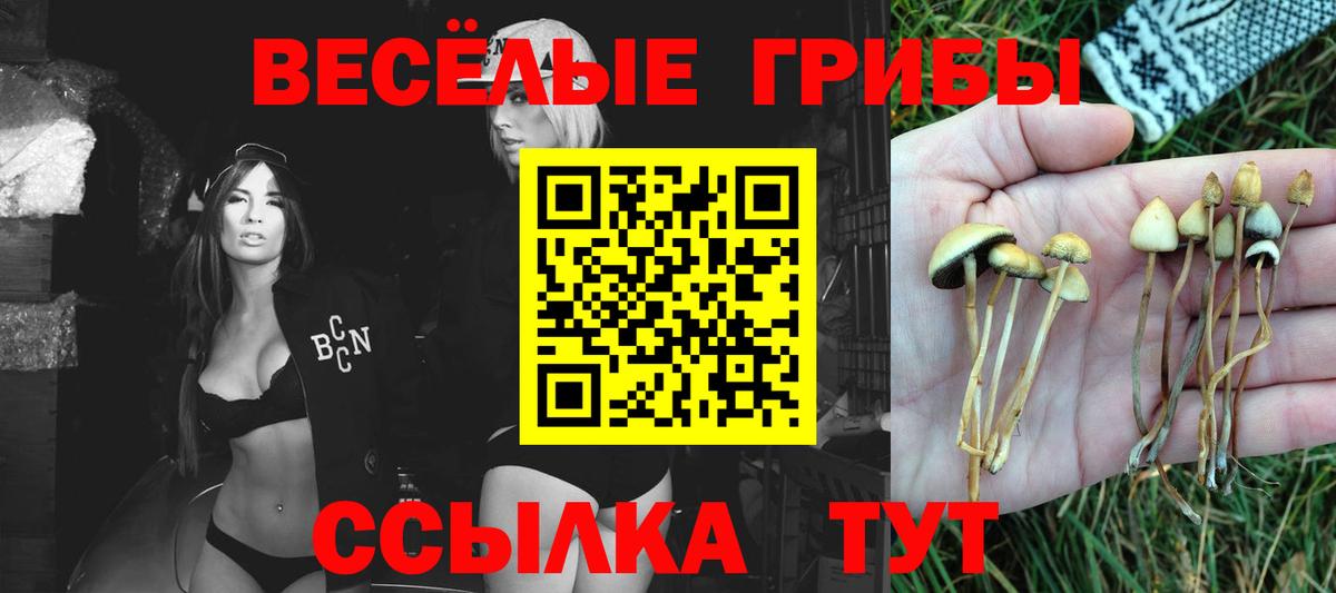 Симферополь  Галлюциногенные грибы Psilocybine cubensis  Вход с VPN 